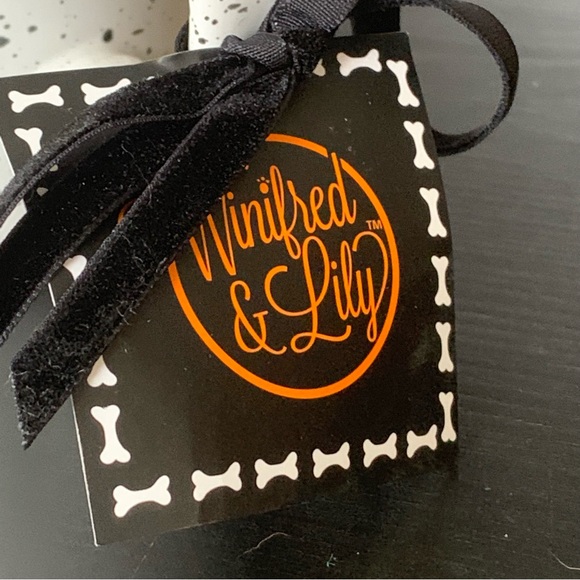 Winifred & Lily Dining Trick Or Treat Witch Cat In Jack Olantern